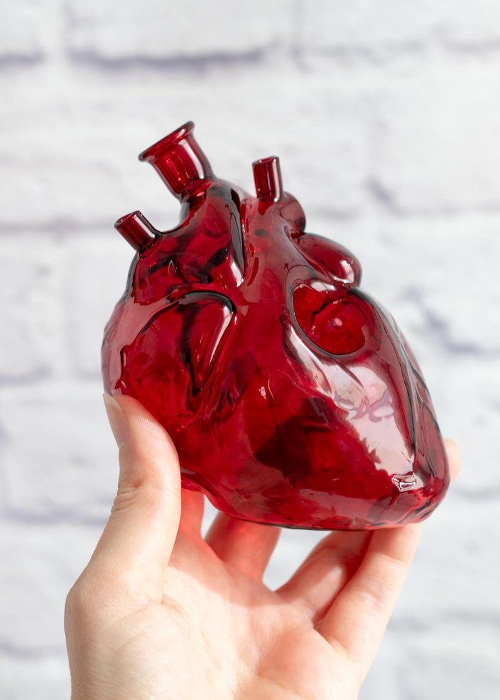 Anatomical heart pipe